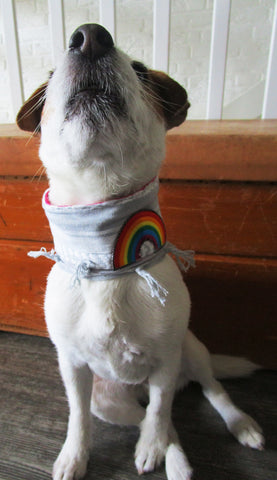 Hundezubehör